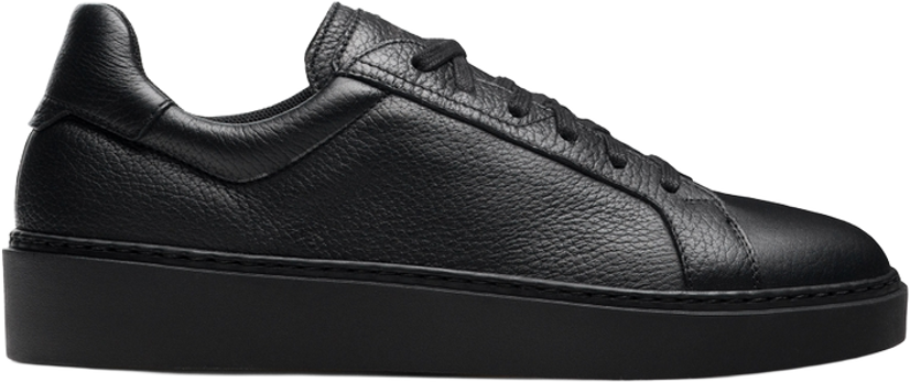 Magnanni Cassia